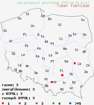 znaleziska Tuber foetidum na terenie Polski