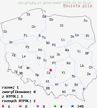 znaleziska Bovista pila na terenie Polski