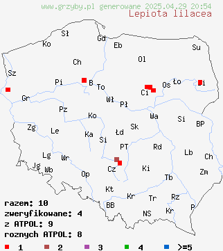 znaleziska Lepiota lilacea (czubajeczka liliowa) na terenie Polski