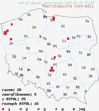 znaleziska Macrolepiota konradii (czubajka gwiaździsta) na terenie Polski