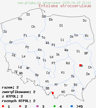 znaleziska Entoloma atrocoeruleum na terenie Polski