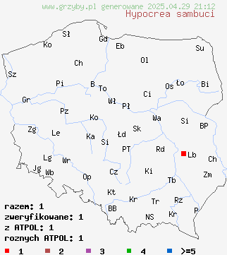 znaleziska Hypocrea sambuci na terenie Polski