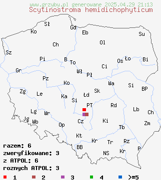 znaleziska Scytinostroma hemidichophyticum na terenie Polski