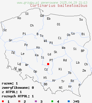 znaleziska Cortinarius balteatoalbus na terenie Polski