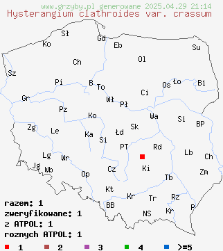 znaleziska Hysterangium clathroides var. crassum na terenie Polski