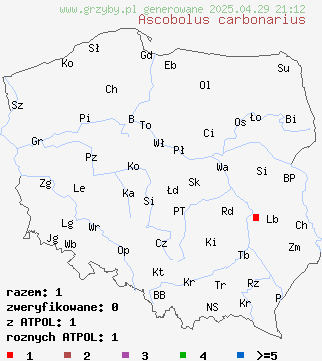 znaleziska Ascobolus carbonarius na terenie Polski