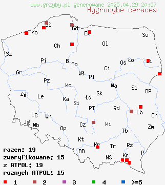 znaleziska Hygrocybe ceracea (wilgotnica woskowa) na terenie Polski