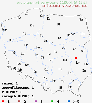 znaleziska Entoloma vezzenaense na terenie Polski