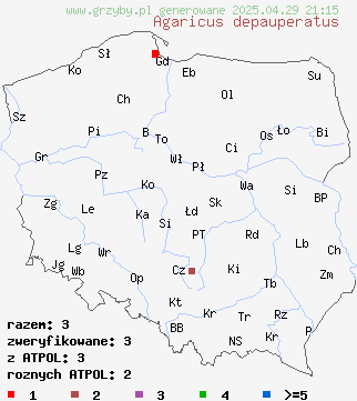 znaleziska Agaricus depauperatus na terenie Polski