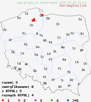znaleziska Xeromphalina (pępowniczka) na terenie Polski