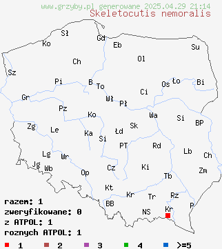 znaleziska Skeletocutis nemoralis na terenie Polski