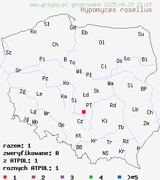 znaleziska Hypomyces rosellus na terenie Polski