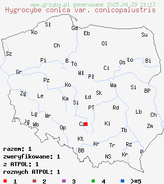 znaleziska Hygrocybe conica var. conicopalustris na terenie Polski