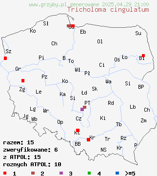 znaleziska Tricholoma cingulatum (gąska wierzbowa) na terenie Polski