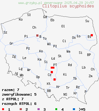 znaleziska Clitopilus scyphoides (bruzdniczek cienkokapeluszowy) na terenie Polski