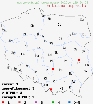 znaleziska Entoloma asprellum (dzwonkówka niebieskotrzonowa) na terenie Polski
