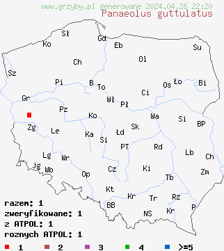 znaleziska Panaeolus guttulatus na terenie Polski