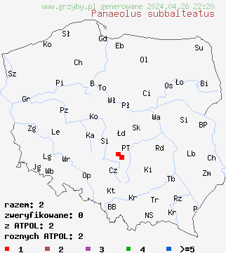 znaleziska Panaeolus subbalteatus na terenie Polski