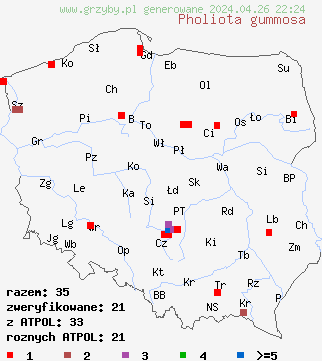 znaleziska Pholiota gummosa na terenie Polski
