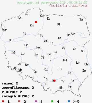 znaleziska Pholiota lucifera (łuskwiak pomarańczowobrązowy) na terenie Polski