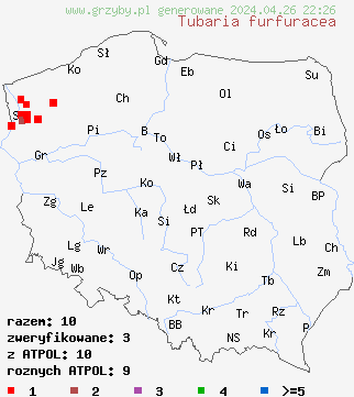 znaleziska Tubaria furfuracea na terenie Polski