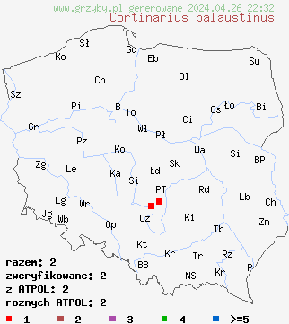 znaleziska Cortinarius balaustinus na terenie Polski