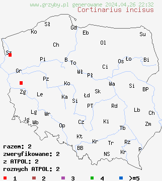 znaleziska Cortinarius incisus na terenie Polski