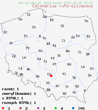 znaleziska Calonarius rufo-olivaceus na terenie Polski