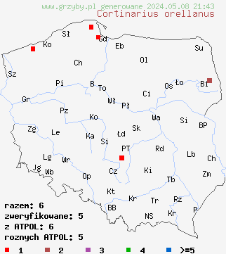 znaleziska Cortinarius orellanus na terenie Polski