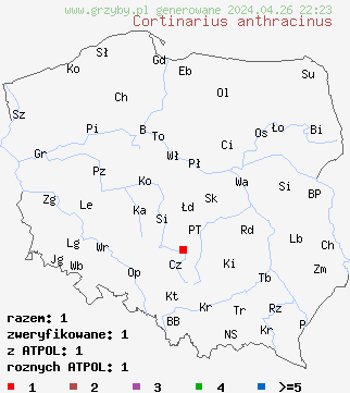 znaleziska Cortinarius anthracinus na terenie Polski