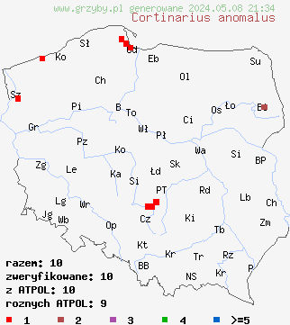 znaleziska Cortinarius anomalus (zasłonak szarobrązowy) na terenie Polski