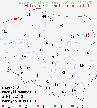 znaleziska Cortinarius balteatocumatilis na terenie Polski