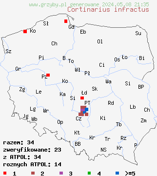 znaleziska Cortinarius infractus (zasłonak gorzkawy) na terenie Polski