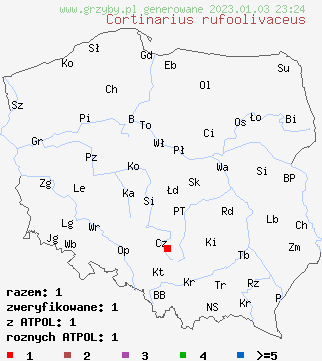 znaleziska Cortinarius rufoolivaceus na terenie Polski