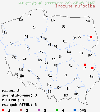 znaleziska Inocybe rufoalba (strzępiak białoowłosiony) na terenie Polski