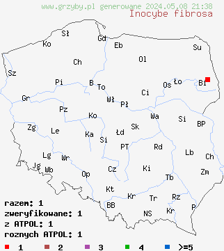 znaleziska Inocybe fibrosa (strzępiak włóknisty) na terenie Polski