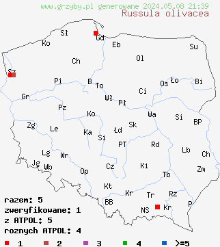 znaleziska Russula olivacea (goÅ‚Ä…bek oliwkowy) na terenie Polski