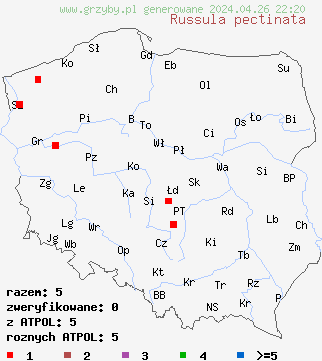 znaleziska Russula pectinata na terenie Polski