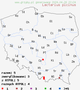 znaleziska Lactarius picinus na terenie Polski