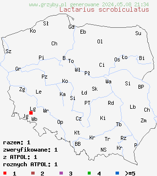 znaleziska Lactarius scrobiculatus (mleczaj dołkowany) na terenie Polski