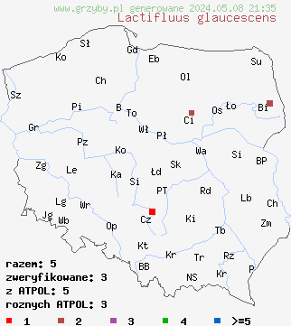 znaleziska Lactifluus glaucescens (mleczajowiec zieleniejący) na terenie Polski
