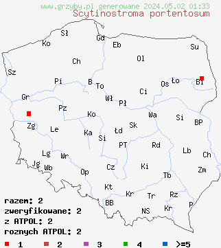 znaleziska Scytinostroma portentosum na terenie Polski