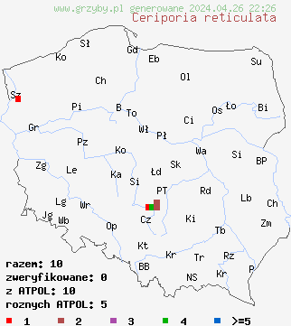 znaleziska Ceriporia reticulata na terenie Polski