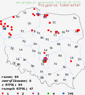 znaleziska Polyporus tuberaster na terenie Polski