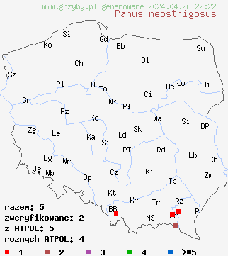 znaleziska Lentinus strigosus na terenie Polski