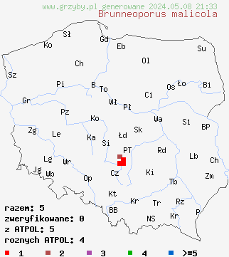 znaleziska Brunneoporus malicola (jamkówka jabłoniowa) na terenie Polski
