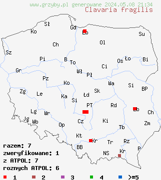 znaleziska Clavaria fragilis na terenie Polski