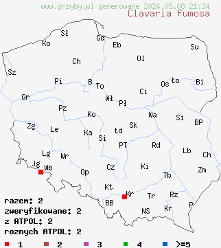 znaleziska Clavaria fumosa na terenie Polski