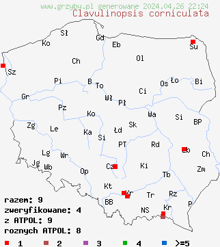 znaleziska Clavulinopsis corniculata na terenie Polski