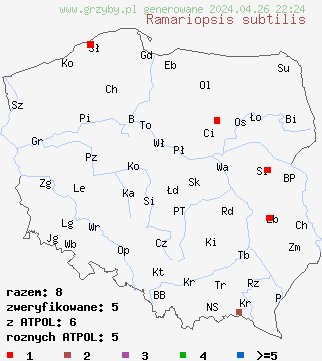 znaleziska Ramariopsis subtilis na terenie Polski